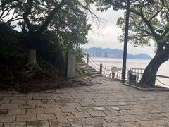 -江心屿景区