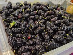 -老炳·七丛松甘草水果