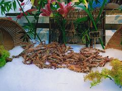 -川骄海鲜自助(河东店)