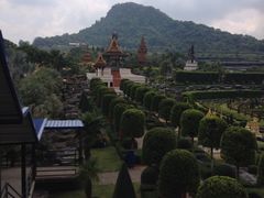 iphone_upload_pic-东芭乐园