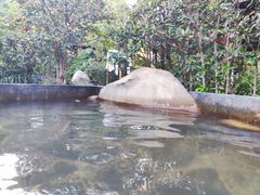 -西安国际创新人才交流中心•药浴温泉