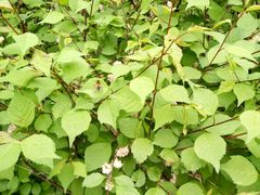 -长春公园(普阳街道)