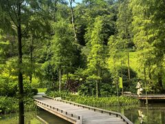 -云溪植物园