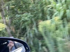 -东白山