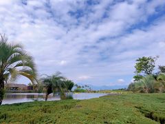 -月亮湾湿地公园