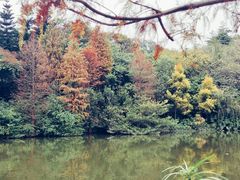 -云溪植物园