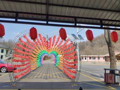 -黄椅山火山森林公园