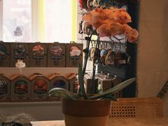-北平花园·MUA摩造汉堡·北平咖啡(南锣鼓巷胡同店)