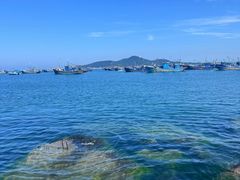 -幸福门