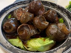 田螺塞肉-瑞福园联谊餐室(茂名南路店)