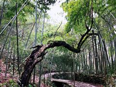 -会稽山峡洞漂流-上青古道