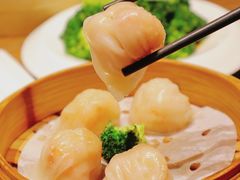 -珍宝轩海鲜火锅(碧湖大厦店)