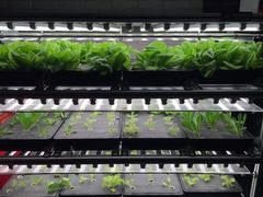 -院落创意菜