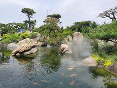 -罗红摄影艺术馆