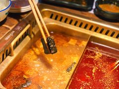 -九鼎轩脆毛肚火锅(三钢里店)