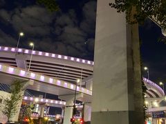 -新疆阿力烧烤