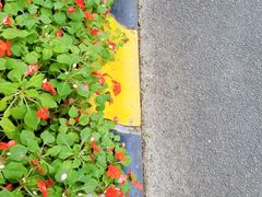 -东部华侨城