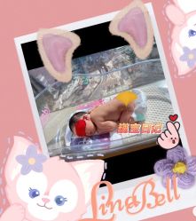 -巍阁高端月子会所