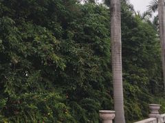 -南宁南湖公园