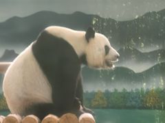 -柳州市动物园