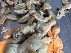 -金鼎雪山牦牛杂火锅(理县总店)