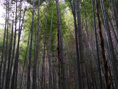 -崀山风景名胜区