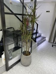 -Nice奈斯形象定制沙龙