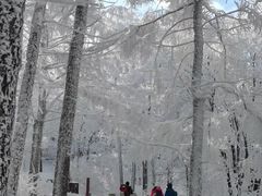 -崂山巨峰游览区