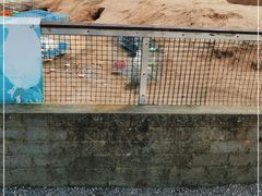 -前小桔亲子创意农场·草莓采摘·露营烧烤