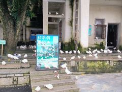 -赤坎·广东华侨国际旅游度假区