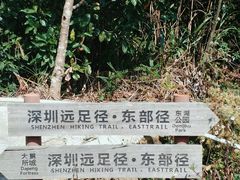 -梅沙尖