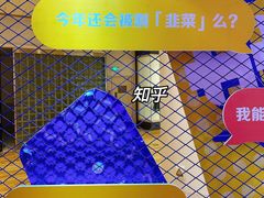 -金茂览秀城