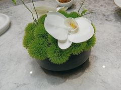 -鲐赏河豚(长寿店)