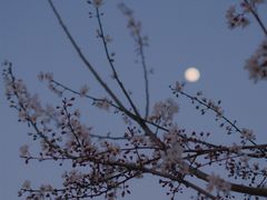 -沙湖公园