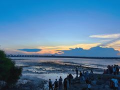 -宝安西湾红树林湿地公园
