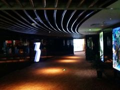 -上海金逸影城(静安大悦城店（原新恒星影城）)