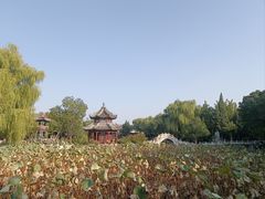 -莲池书院博物馆