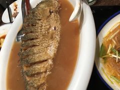-阿庄新豫菜(航海东路店)