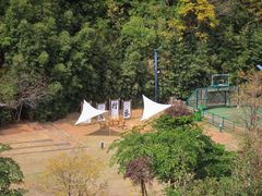 -厦门艾美酒店·乐美中餐厅