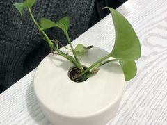 -娜娜家·Nana's restaurant(国金汇店)