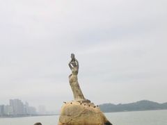 -野狸岛