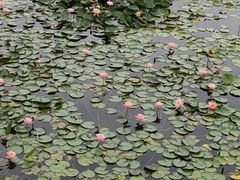 -梅溪湖城市岛