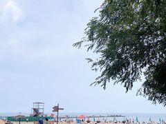 -青岛第二海水浴场