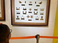 -上海昆虫博物馆