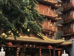 -大佛寺高级素食自助餐厅