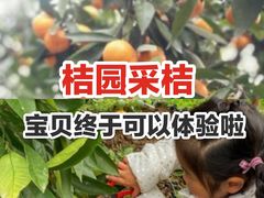 -前小桔亲子创意农场·草莓采摘·露营烧烤