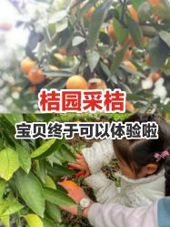 -前小桔亲子创意农场·草莓采摘·露营烧烤