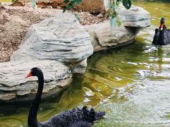 -灵玲国际马戏城