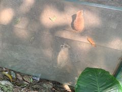 -呀诺达热带雨林