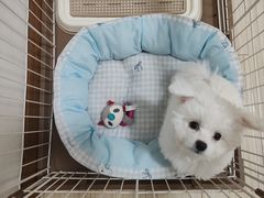 -宠颐生宠物医院·综合诊疗(先锋分院)